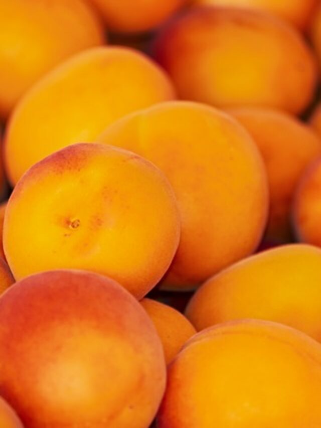 Top Six Health Benefits of Apricots
